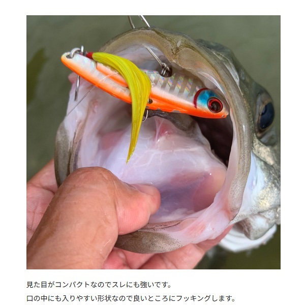 IP-35 アイアンプレート ハイアンドロー シルバークロー